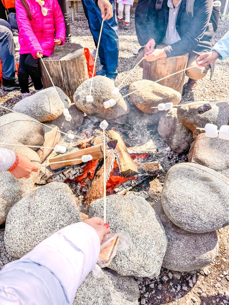 smores in alaska