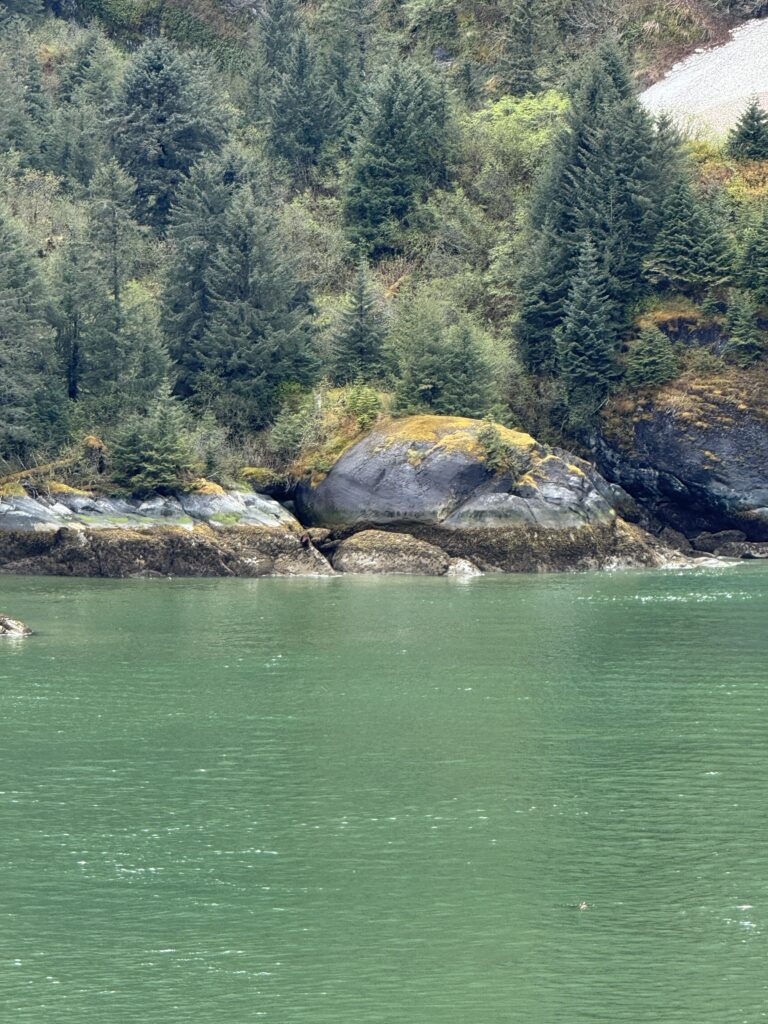Alaskan scenery from cruise